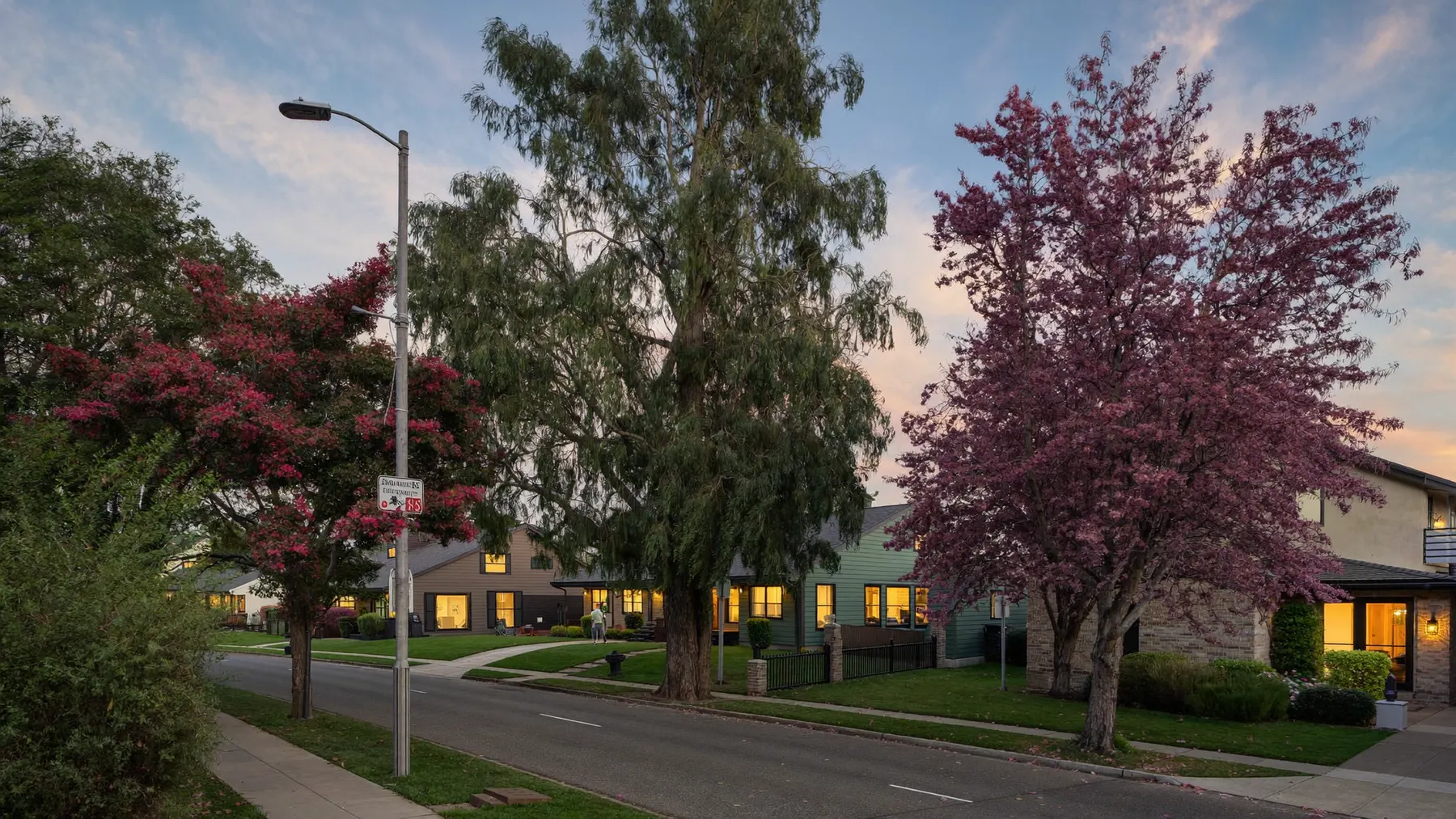 Leafy Como street with renovated character homes and modern houses at golden hour
